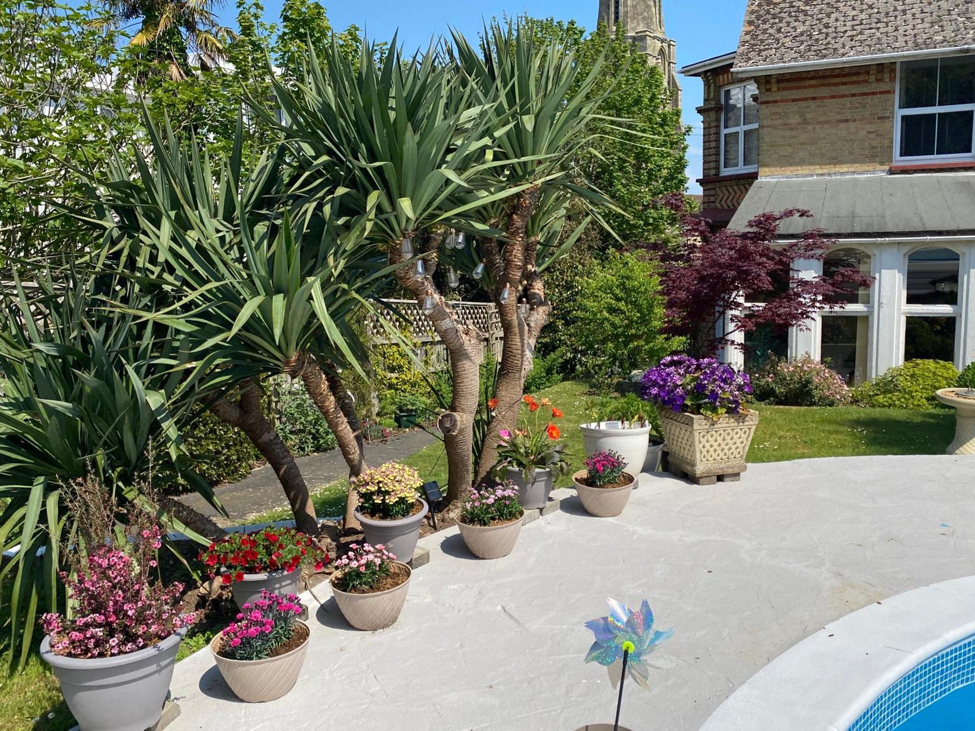 The Belmont Hotel Shanklin Exterior photo